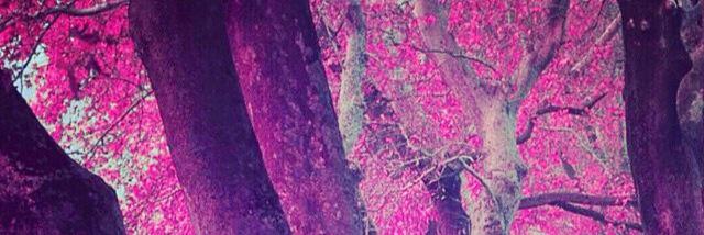 Ayrizuka's profile banner image