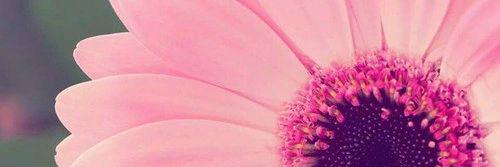 Musicandsmiles7's profile banner image