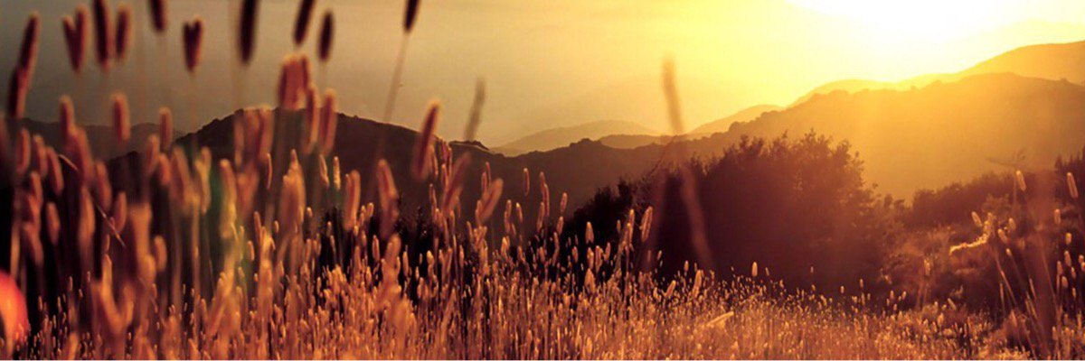 SoKooN95's profile banner image