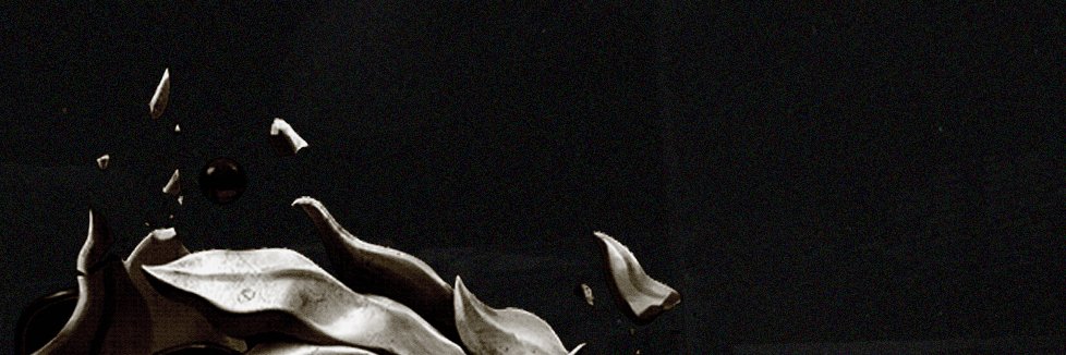 LFernandokz's profile banner image