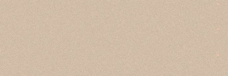 Nica. 🦋🌻💎🖤 banner