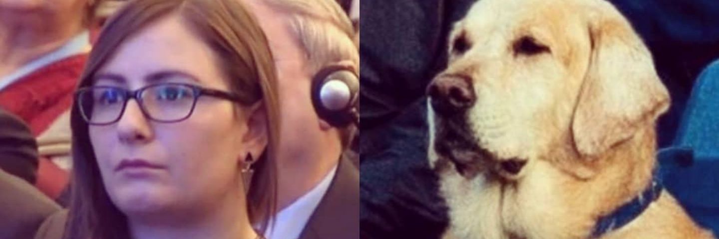 thejayjoy's profile banner image