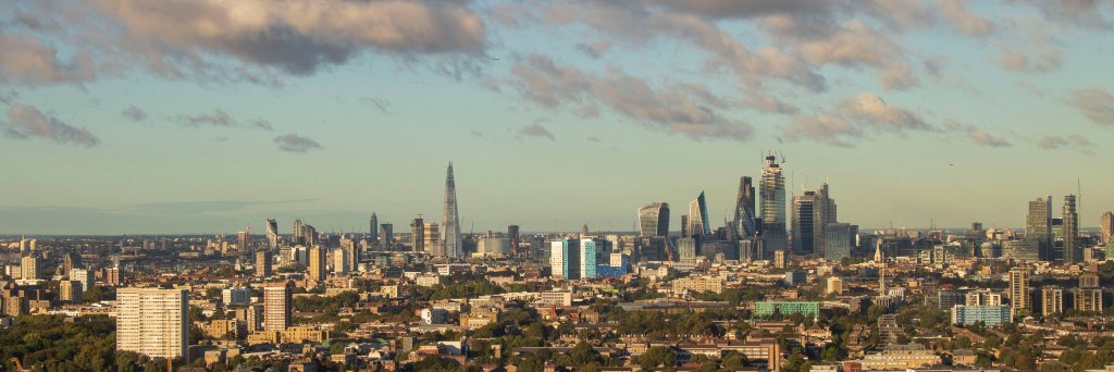 Frédérique Mittelstaedt banner