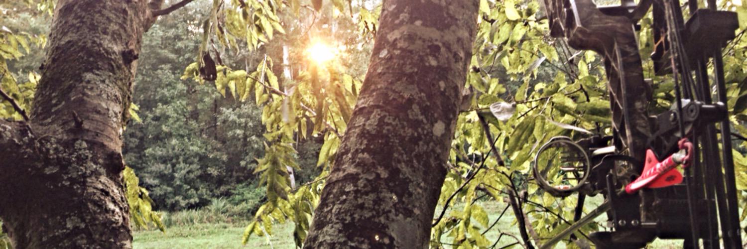 sarahf_evo's profile banner image