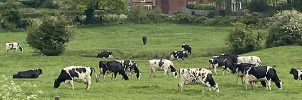 GaryChadwicks Profile Banner