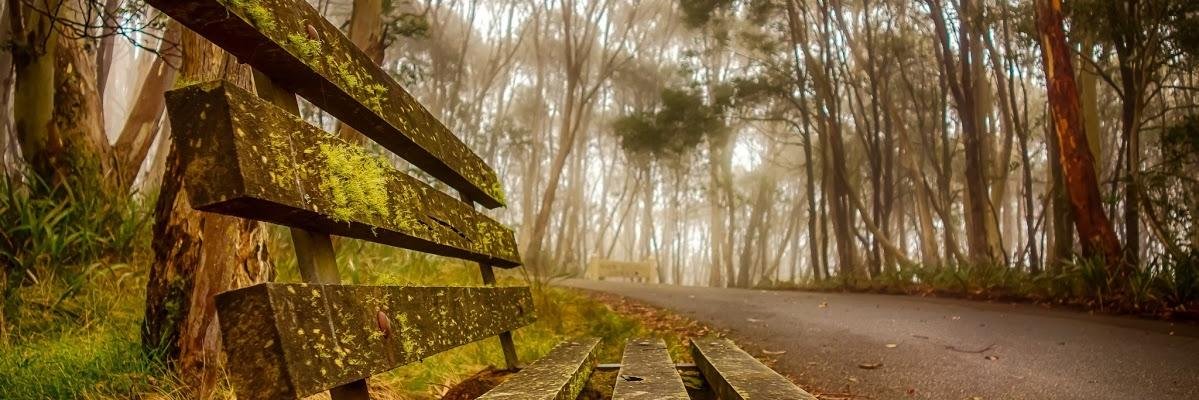 LoveMandheling's profile banner image