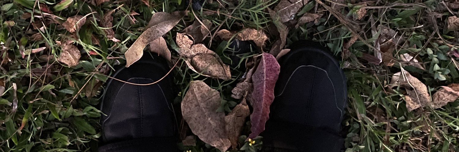 PlNTUSORGA's profile banner image