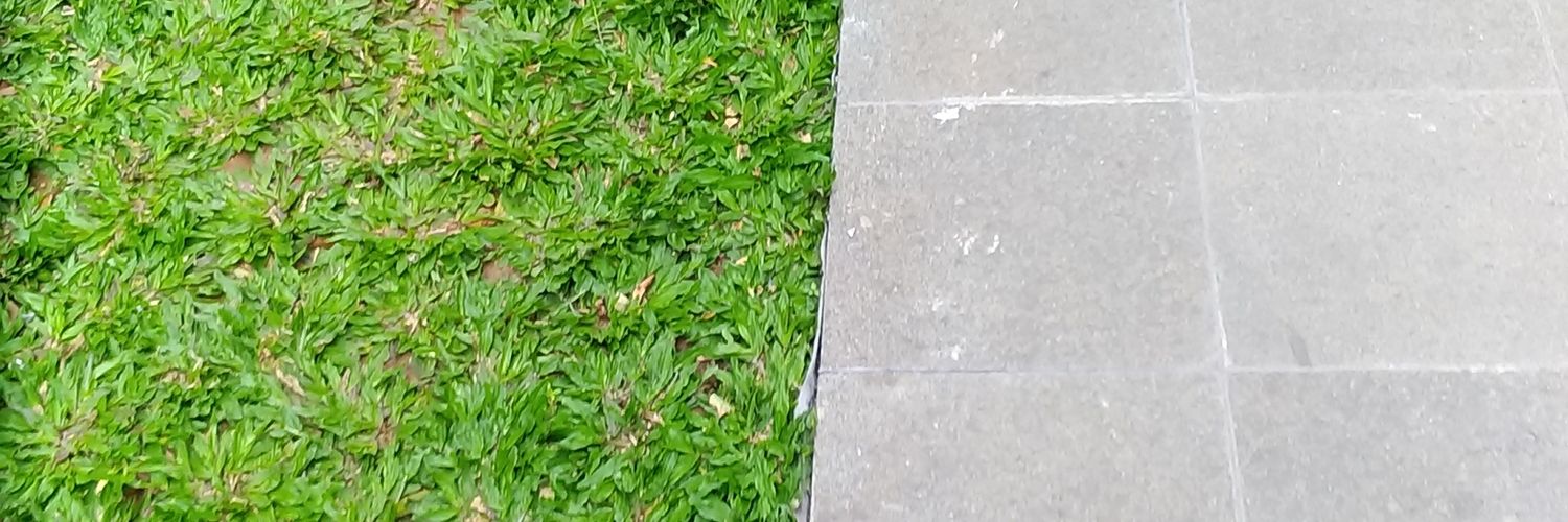 fyr_ra's profile banner image