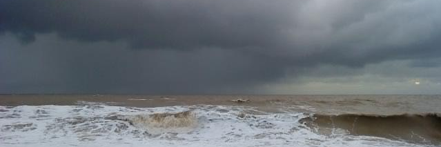 Sir Jon Taylor...legacy human. banner