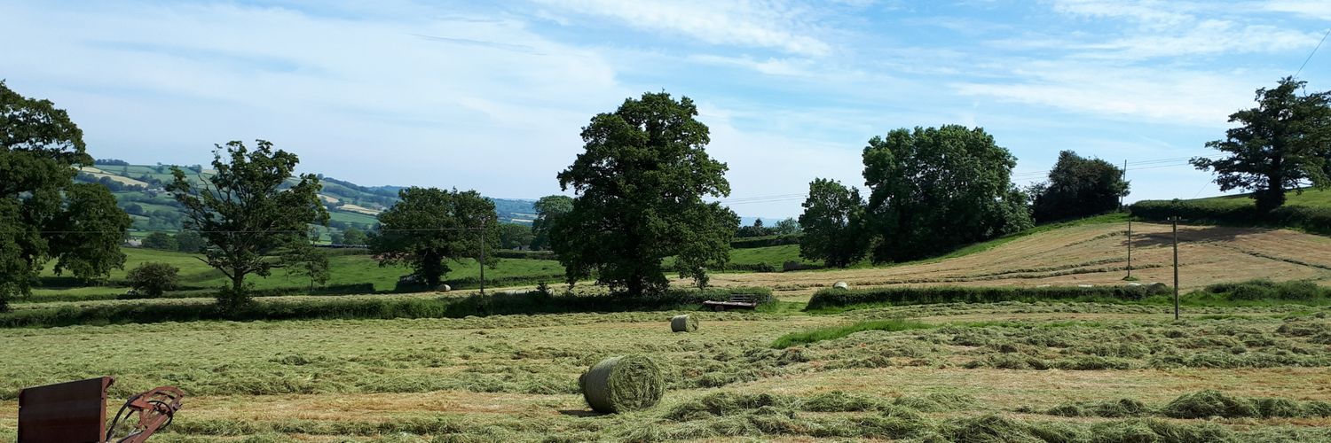 Vickie Moreleigh banner