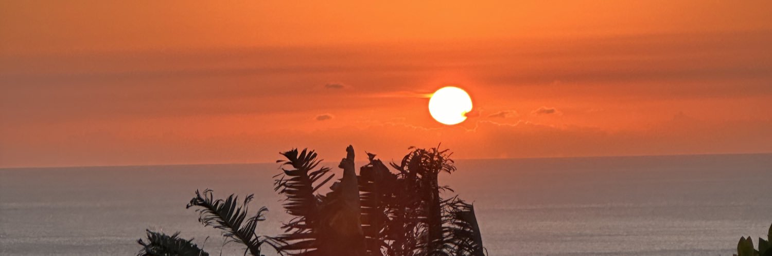flo_lda's profile banner image