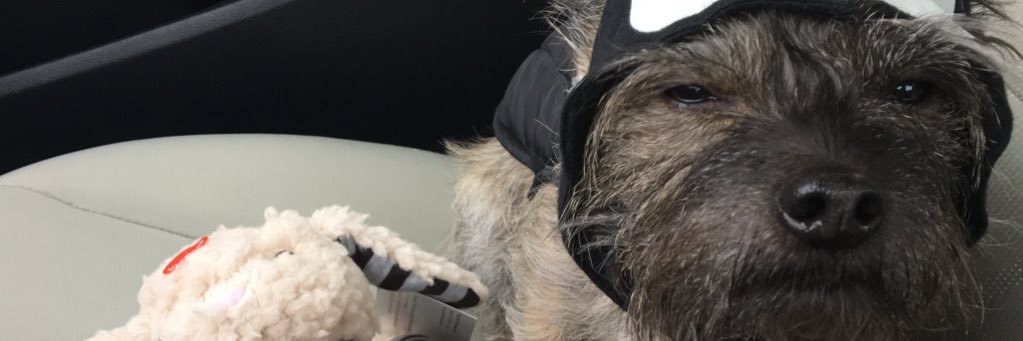 moGthanyou's profile banner image
