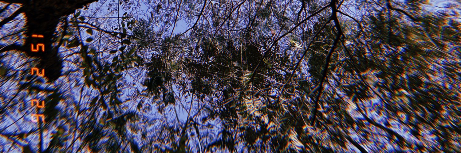 alexialechuga's profile banner image