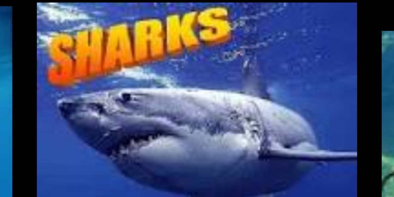 SuttonCC (St Helens) banner