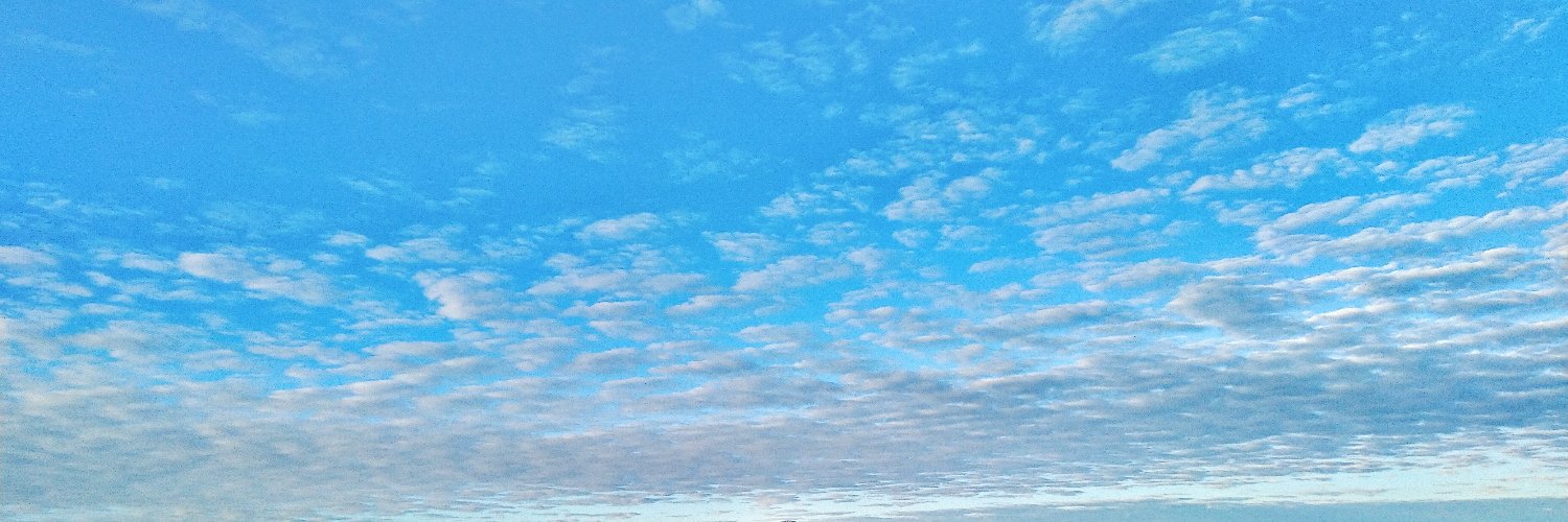 🐣 banner