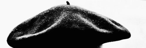 trallonon's profile banner image