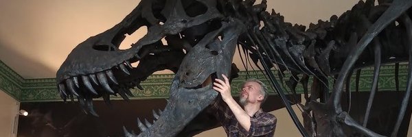 MrIchthyosaurus Profile Banner