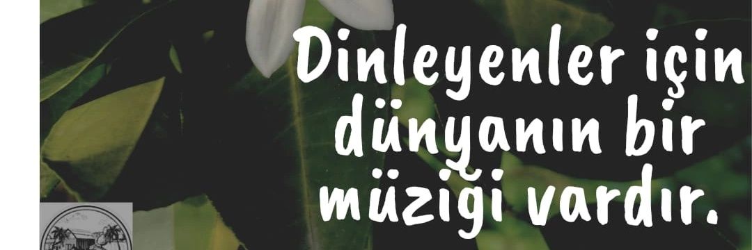nes_erdem's profile banner image