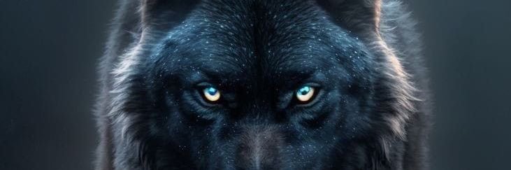 omanzyf's profile banner image