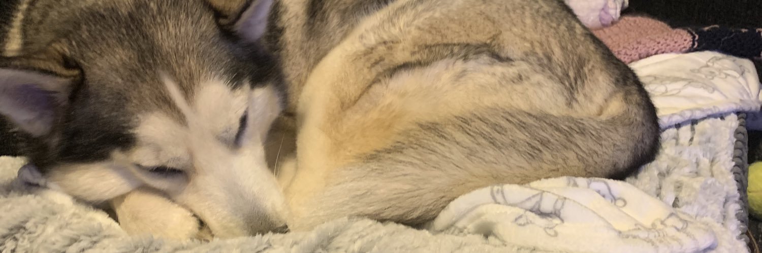 michelle_ellen1's profile banner image