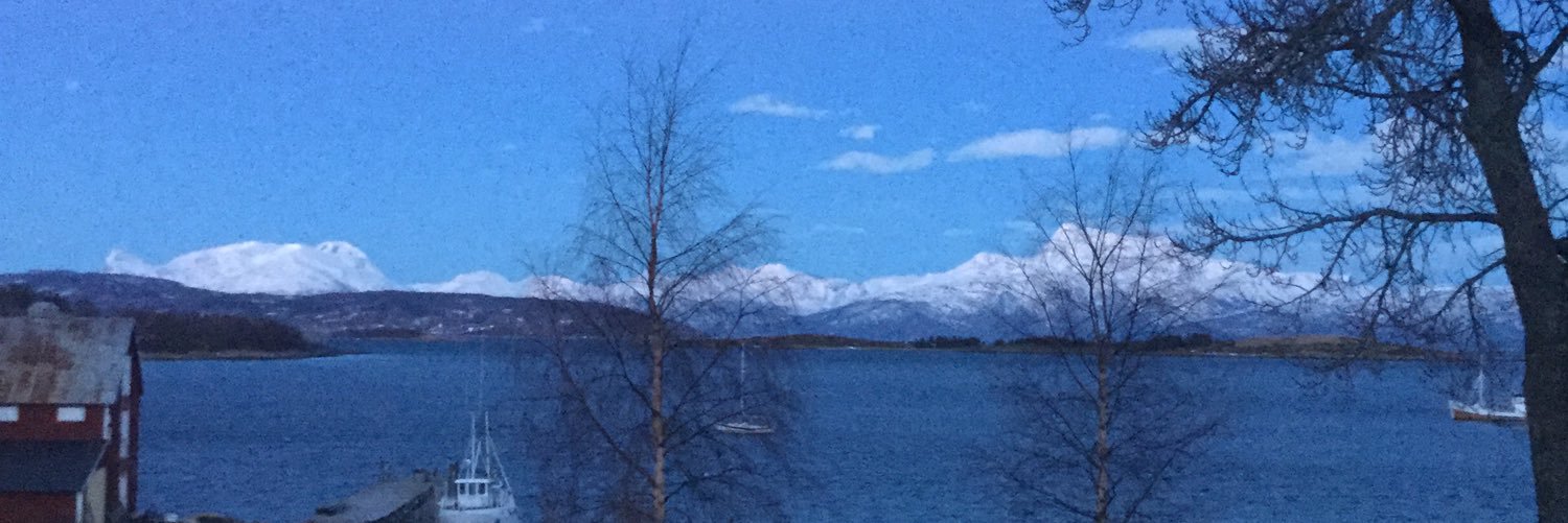 kjerstima's profile banner image