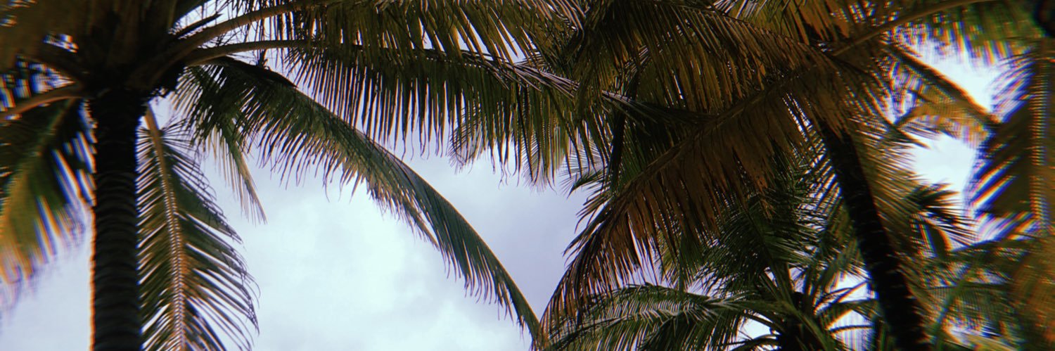 phoebe_scholes's profile banner image