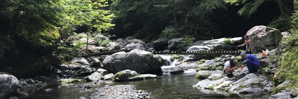 taooLFC's profile banner image