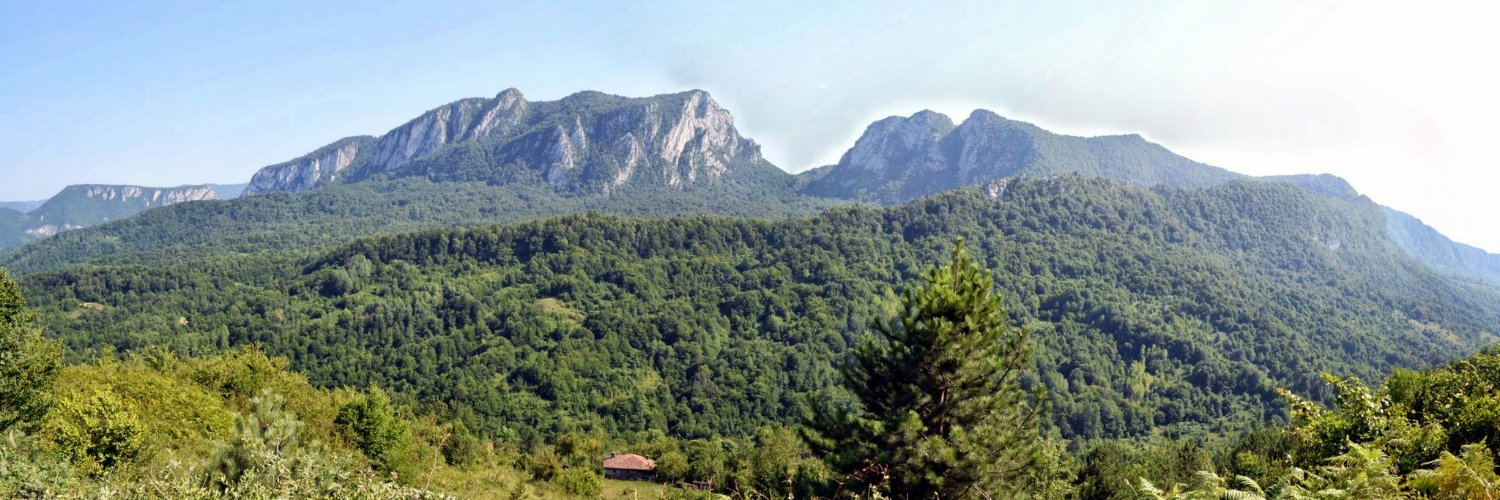adyavuz's profile banner image
