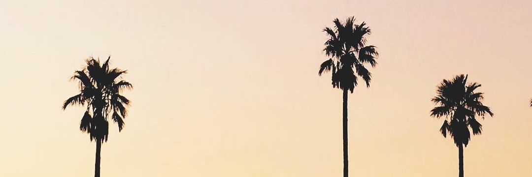ikkajulia's profile banner image