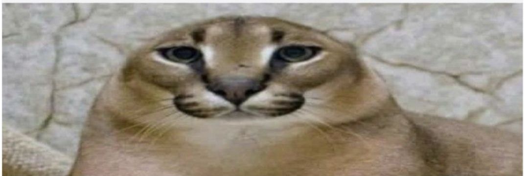 (nat)Ombe Raveur banner