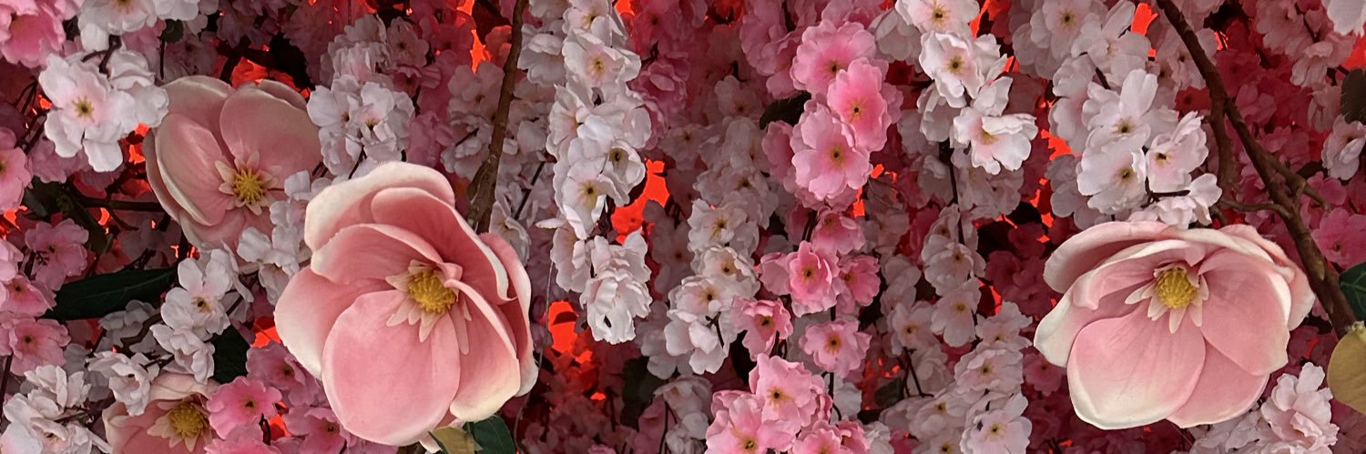 vivalamariana's profile banner image