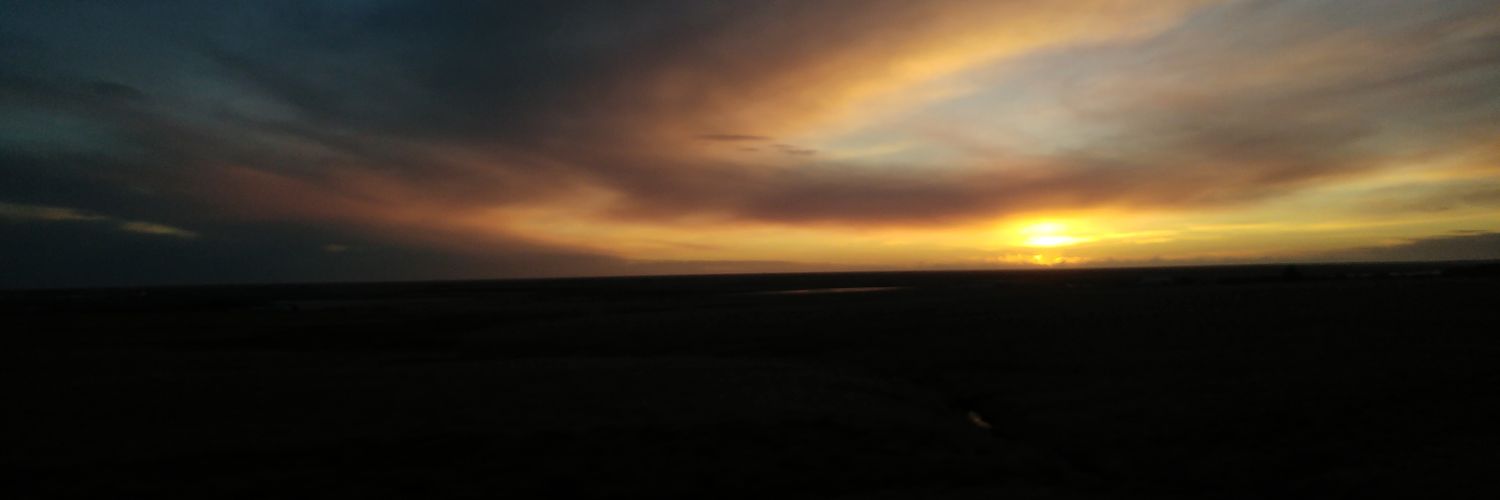 Claire Bowring banner