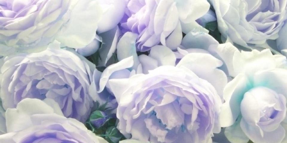 MisssEmilyRose's profile banner image