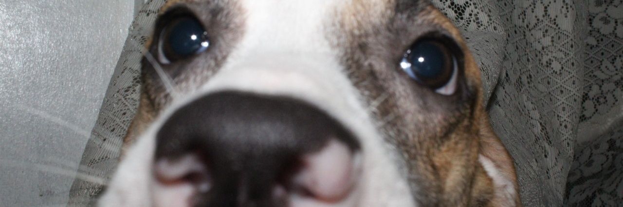 riyandeyniyel's profile banner image
