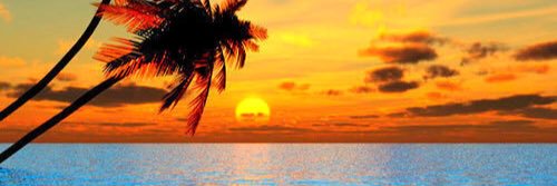 11Nrk's profile banner image