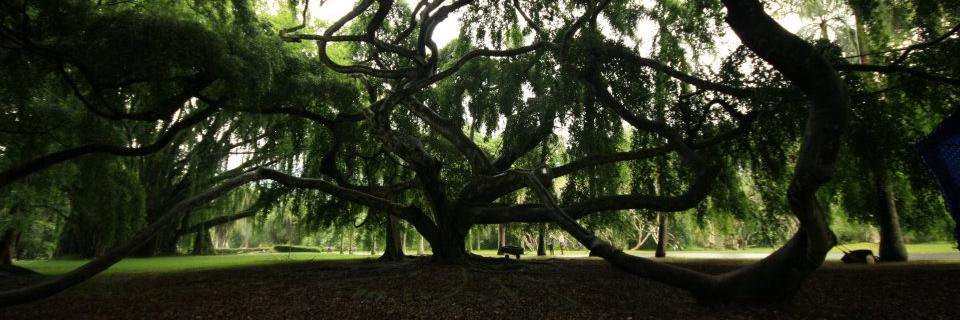 namrata yadav banner