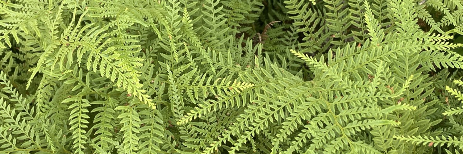 Michael Appleton banner