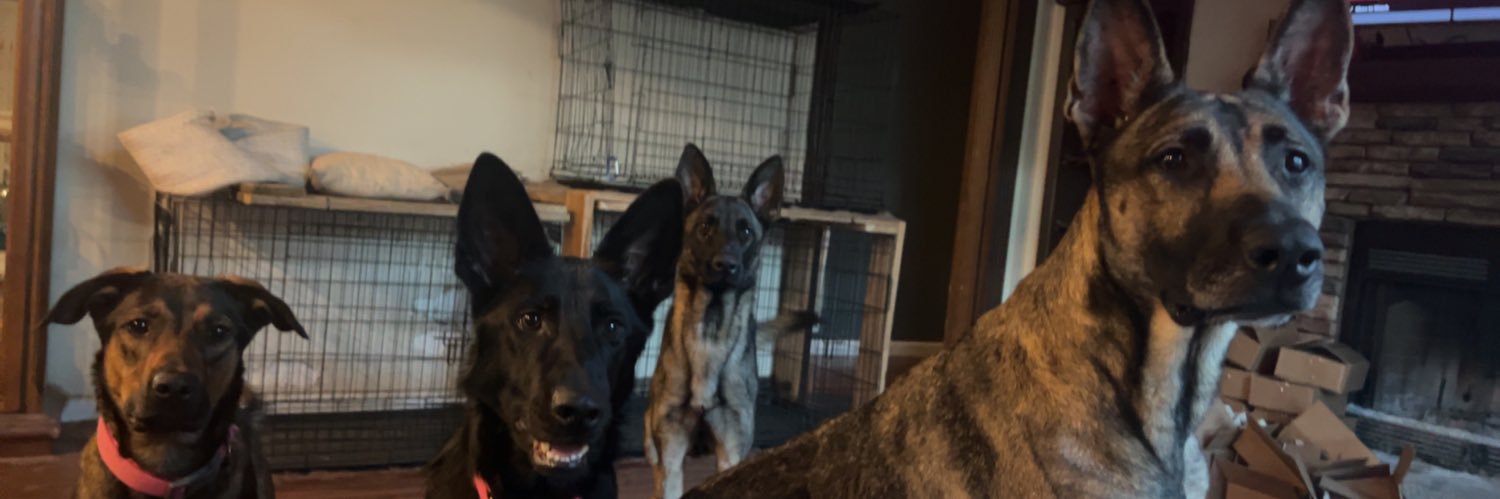leonardZoee's profile banner image