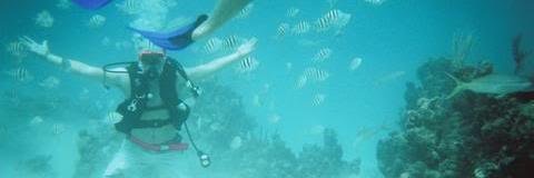 Brian Greenwood banner