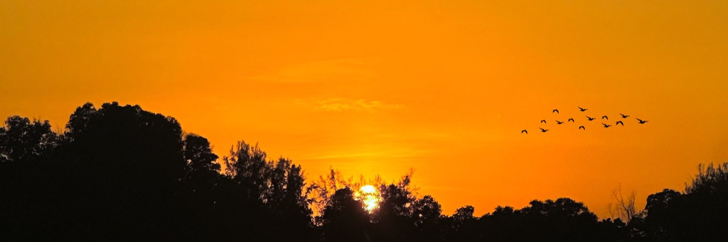 f_rds_'s profile banner image