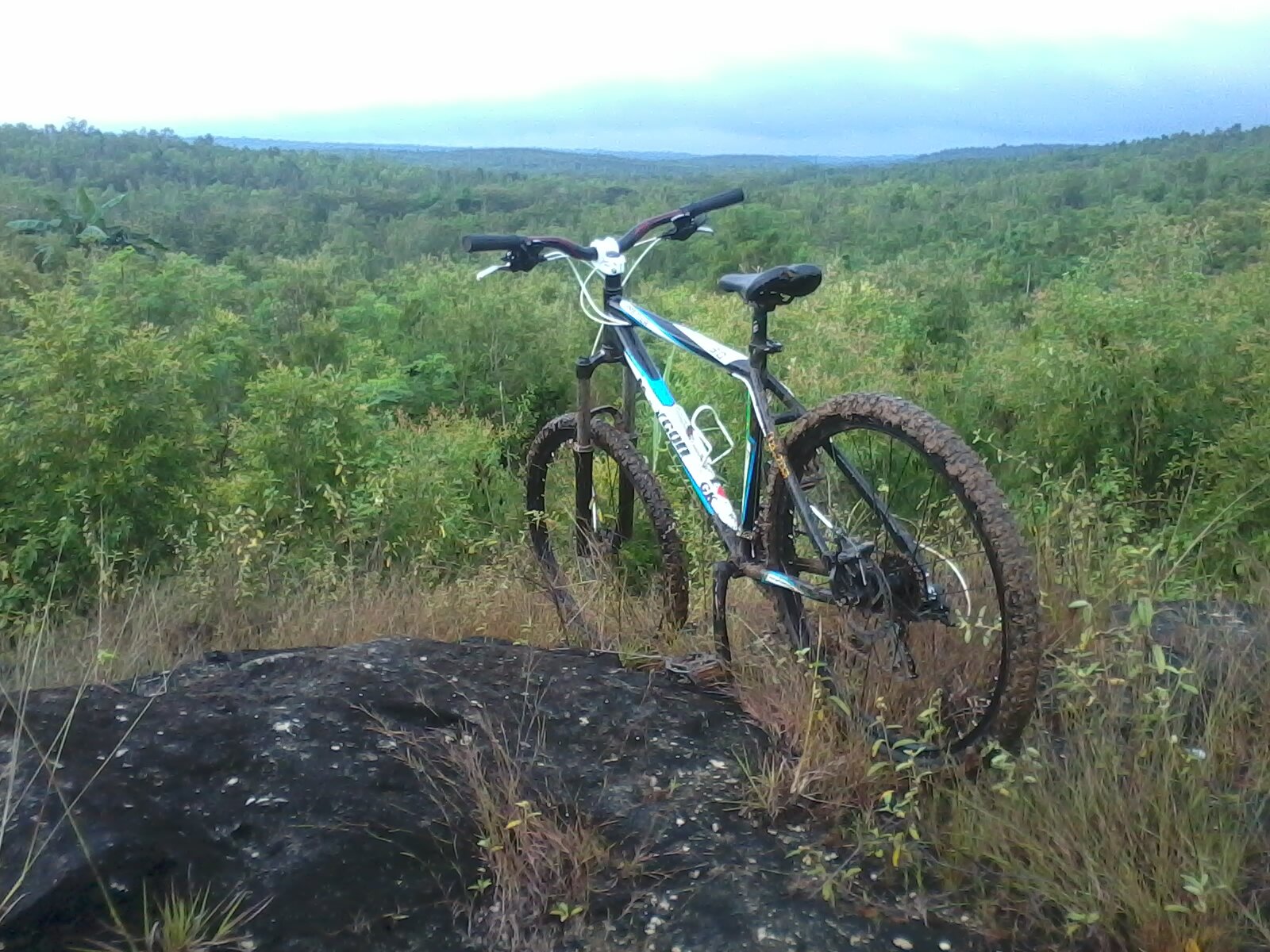 Rio Wicaksono banner