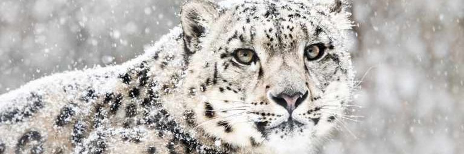 CrystalM759ts's profile banner image
