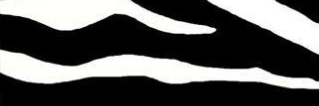 polpettaz's profile banner image