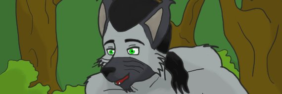 SethCollens's profile banner image