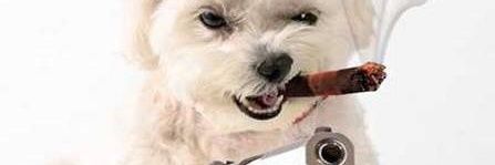 UNKL PETEY JINGOIST banner
