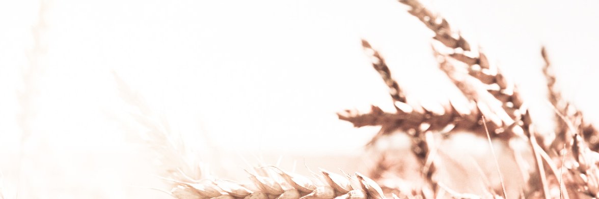 KVdBulck's profile banner image