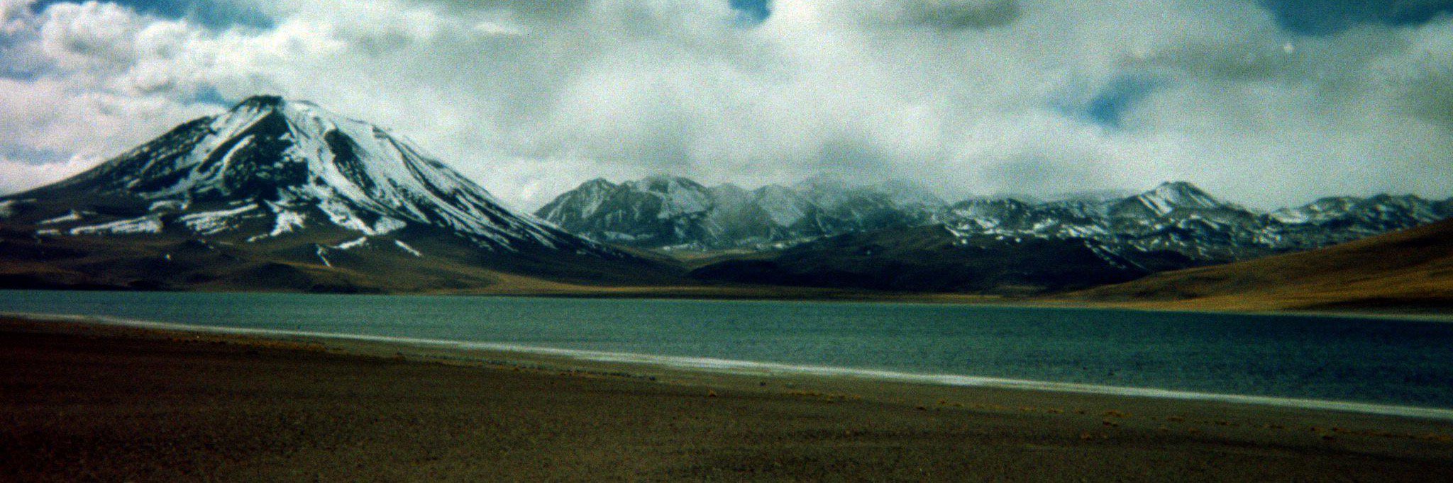 Kate Capodanno banner