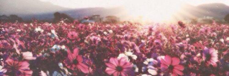 XOaileen_'s profile banner image