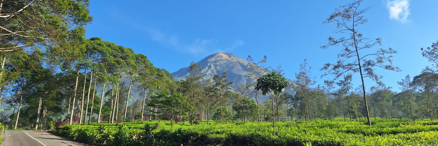 riefa_aufa's profile banner image