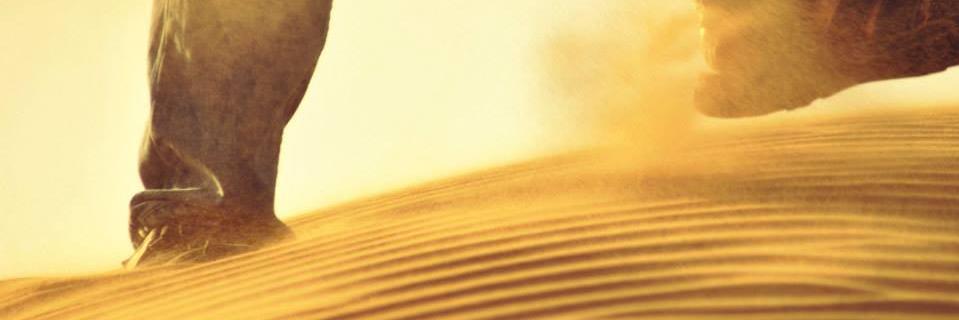 sojanjs's profile banner image
